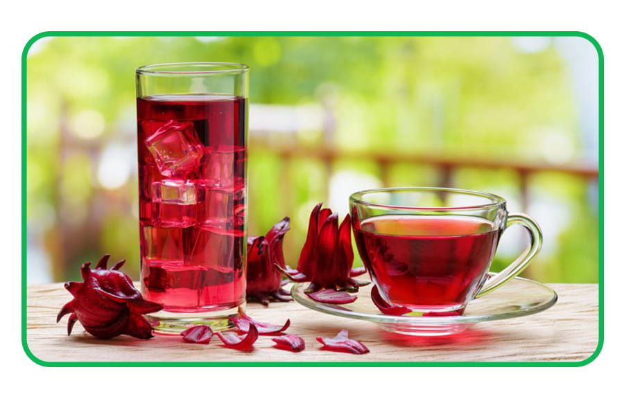 گیاه دارویی چای ترش - گیاه چای ترش